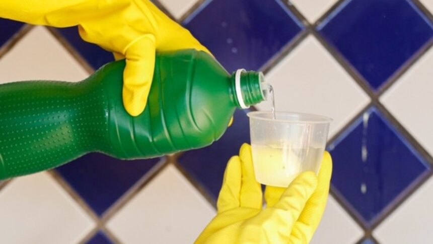 como-tirar-mofo-de-casa;-confira-solucoes-simples