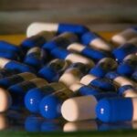 como-virus-antigos-podem-ajudar-a-combater-a-resistencia-de-bacterias-a-antibioticos