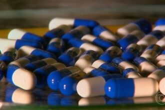 como-virus-antigos-podem-ajudar-a-combater-a-resistencia-de-bacterias-a-antibioticos