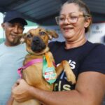 fortaleza-tem-mutirao-de-castracao-de-animais-gratuita-neste-domingo