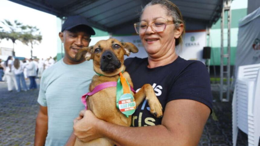 fortaleza-tem-mutirao-de-castracao-de-animais-gratuita-neste-domingo