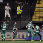 serie-b:-chapecoense-goleia-o-athletic-fora;-criciuma-vence-o-novorizontino-e-dorme-no-g-4