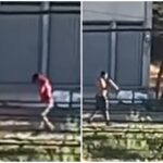 video:-homem-e-preso-apos-atacar-prima-com-golpes-de-foice-no-interior-do-ceara