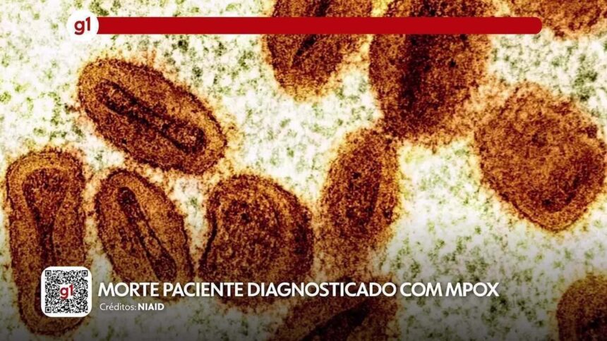 mpox-deixa-de-ser-emergencia-de-saude-internacional,-anuncia-oms