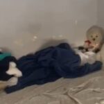 menina-de-6-anos-e-resgatada-de-carcere-privado-em-sorocaba-sem-saber-falar;-pais-sao-presos