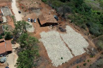 apos-13-anos,-engenho-de-cana-de-acucar-volta-a-funcionar-em-cedro,-no-ceara