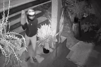 criminosos-arrombam-casa-e-matam-morador-a-tiros-no-ceara;-video
