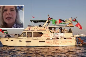 itamaraty-pede-libertacao-de-detidos-a-caminho-de-gaza-e-diz-que-prisao-por-israel-e-‘violacao’
