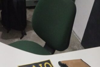 pmce-apreende-armas-de-fogo-abandonadas-em-eusebio