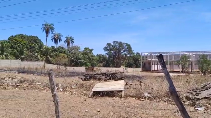 homem-foge-de-ataque-de-abelhas-e-morre-atropelado-em-estrada-no-ceara