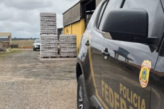 policia-federal-investiga-se-metanol-abandonado-por-criminosos-era-usado-para-adulterar-bebidas