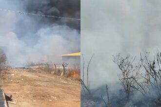 em-um-mes,-ceara-teve-media-de-43-incendios-em-vegetacao-por-dia;-veja-videos
