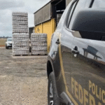 policia-de-sp-faz-nova-operacao-contra-falsificadores-de-bebidas