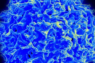 cancer-transforma-ambiente-acido-em-combustivel-para-crescer,-diz-estudo