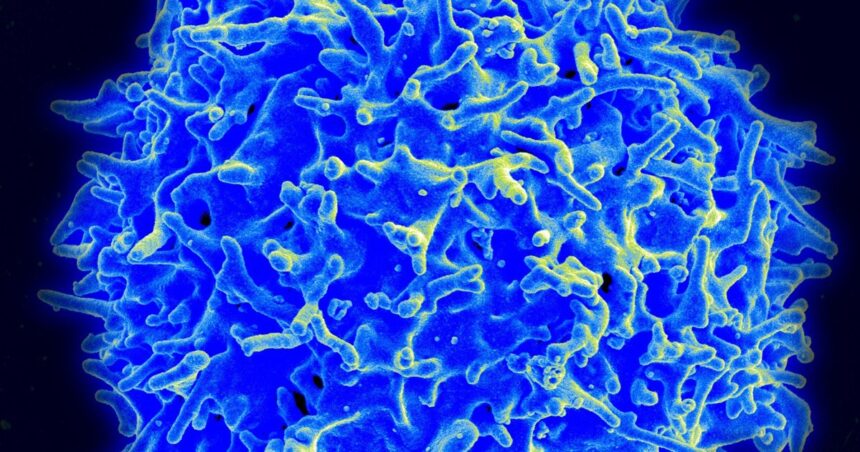 cancer-transforma-ambiente-acido-em-combustivel-para-crescer,-diz-estudo