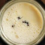 formigas-no-iogurte?-cientistas-testam-tradicao-dos-balcas