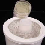 cientistas-criam-fungo-com-aroma-floral-que-elimina-mosquitos-da-dengue,-malaria-e-zika