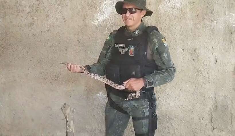 jiboia-e-resgatada-pela-pmce-em-residencia-na-cidade-de-juazeiro-do-norte