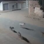 video-mostra-estrondo-em-fabrica-clandestina-de-fogos-no-ceara-que-matou-vizinho-com-susto