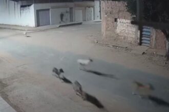 video-mostra-estrondo-em-fabrica-clandestina-de-fogos-no-ceara-que-matou-vizinho-com-susto