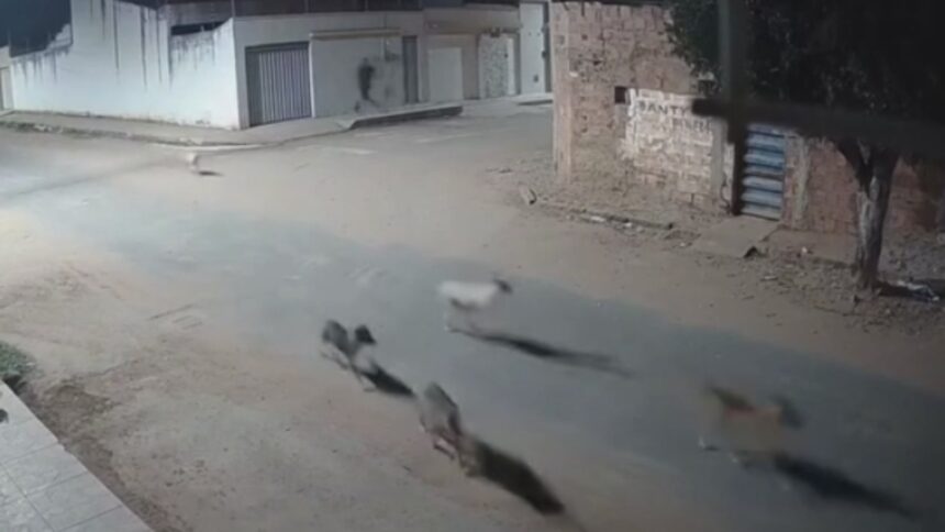 video-mostra-estrondo-em-fabrica-clandestina-de-fogos-no-ceara-que-matou-vizinho-com-susto