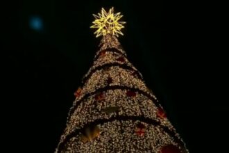 arvore-de-natal-do-parque-villa-lobos-e-inaugurada-e-deve-gerar-r$-50-milhoes-para-sp