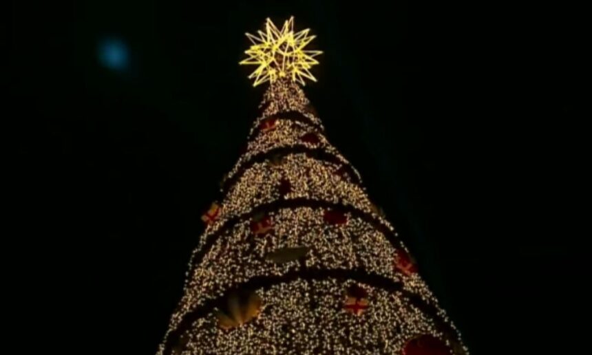 arvore-de-natal-do-parque-villa-lobos-e-inaugurada-e-deve-gerar-r$-50-milhoes-para-sp