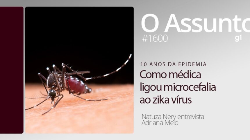 zika,-10-anos:-as-maes-da-epidemia-–-o-assunto-#1600
