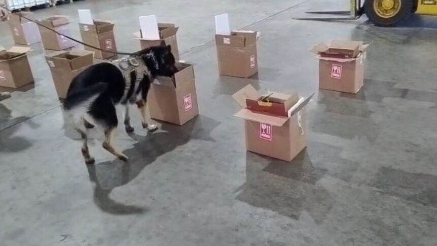 carga-com-cocaina-diluida-em-vinho-e-apreendida-pela-pf-no-aeroporto-de-fortaleza