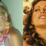 ex-chacrete-lia-hollywood-morre-devido-a-ataque-de-pit-bull-do-proprio-filho