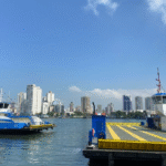 cachorro-e-resgatado-apos-pular-da-balsa-durante-travessia-sao-sebastiao–ilhabela