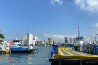cachorro-e-resgatado-apos-pular-da-balsa-durante-travessia-sao-sebastiao–ilhabela