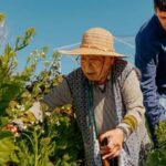 como-microssessoes-de-exercicio-podem-ajudar-a-viver-mais