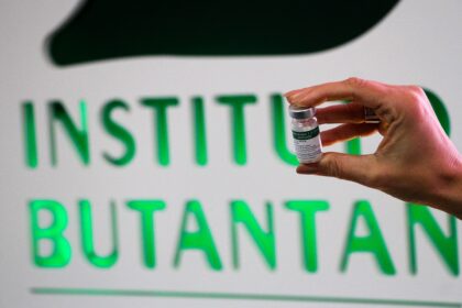 vacina-do-butantan-freia-replicacao-do-virus-da-dengue,-diz-estudo