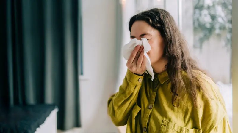 a-nova-gripe-que-gerou-alerta-da-oms-para-2026