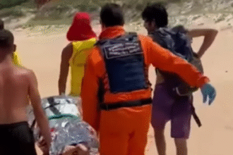 mulher-sofre-ataque-de-capivara-durante-mergulho-e-fica-sem-parte-da-nadega