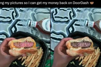 golpistas-usam-ia-para-forjar-comida-estragada-e-ganhar-reembolso