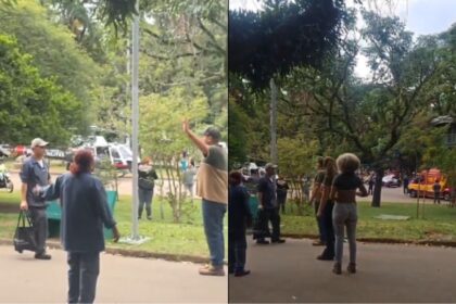 mulher-sofre-traumatismo-cranio-encefalico-apos-ser-atingida-por-arvore-no-parque-ibirapuera