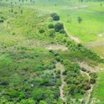 prefeito-oferece-recompensa-de-r$-20-mil-por-criancas-desaparecidas-no-ma