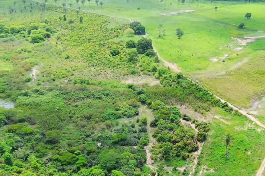 prefeito-oferece-recompensa-de-r$-20-mil-por-criancas-desaparecidas-no-ma