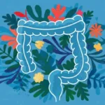 ‘melhorar-a-saude-do-intestino-ajuda-a-envelhecer-melhor?-o-que-descobri-mudando-minha-dieta’