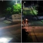 quatro-criminosos-morrem-em-confronto-com-policiais-apos-ataque-de-faccao-no-ceara