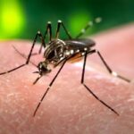 estado-de-sp-registra-a-1⁠a-morte-por-dengue-em-2026