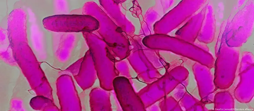 sindrome-rara-faz-pacientes-“ficarem-bebados”-sem-consumir-alcool