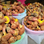 o-misterioso-cogumelo-que-faz-as-pessoas-verem-‘pessoinhas’