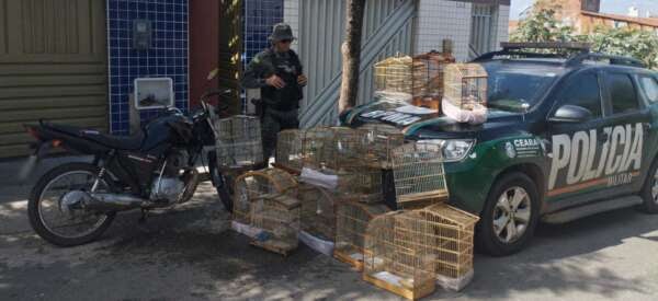 homem-e-detido-e-16-aves-silvestres-sao-resgatadas-pela-pmce-em-juazeiro-do-norte