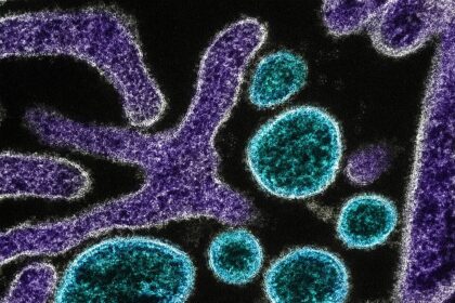 nipah:-entenda-o-que-e-o-virus-com-alto-indice-de-mortalidade-que-causa-novo-surto-na-asia