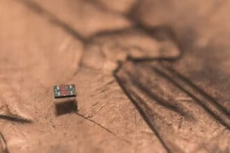 do-tamanho-de-um-grao-de-sal:-conheca-o-menor-robo-do-mundo