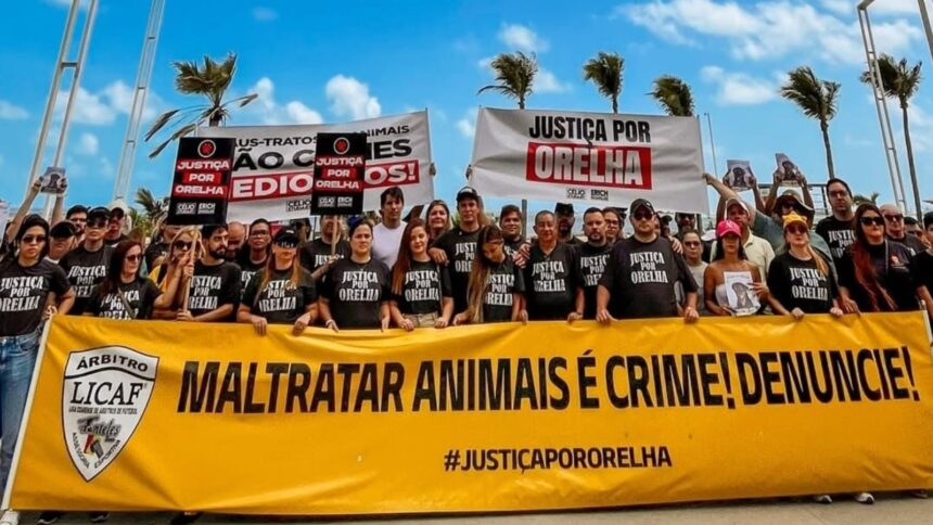 manifestacao-em-fortaleza-pede-justica-por-cachorro-orelha-morto-em-santa-catarina