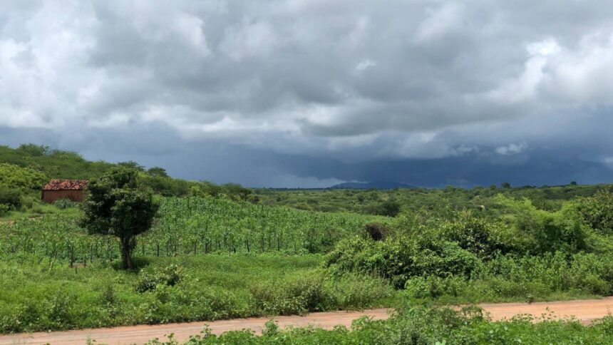 instituto-emite-alerta-de-chuvas-intensas-para-cidades-do-ceara;-veja-lista